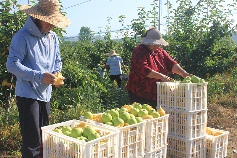 ��óԣ����Ѕ^(q��)ǰ�����@�����@������������